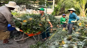 كيف يؤثر التطور في العلم والتكنولوجيا على مسارات التنمية في العالم؟